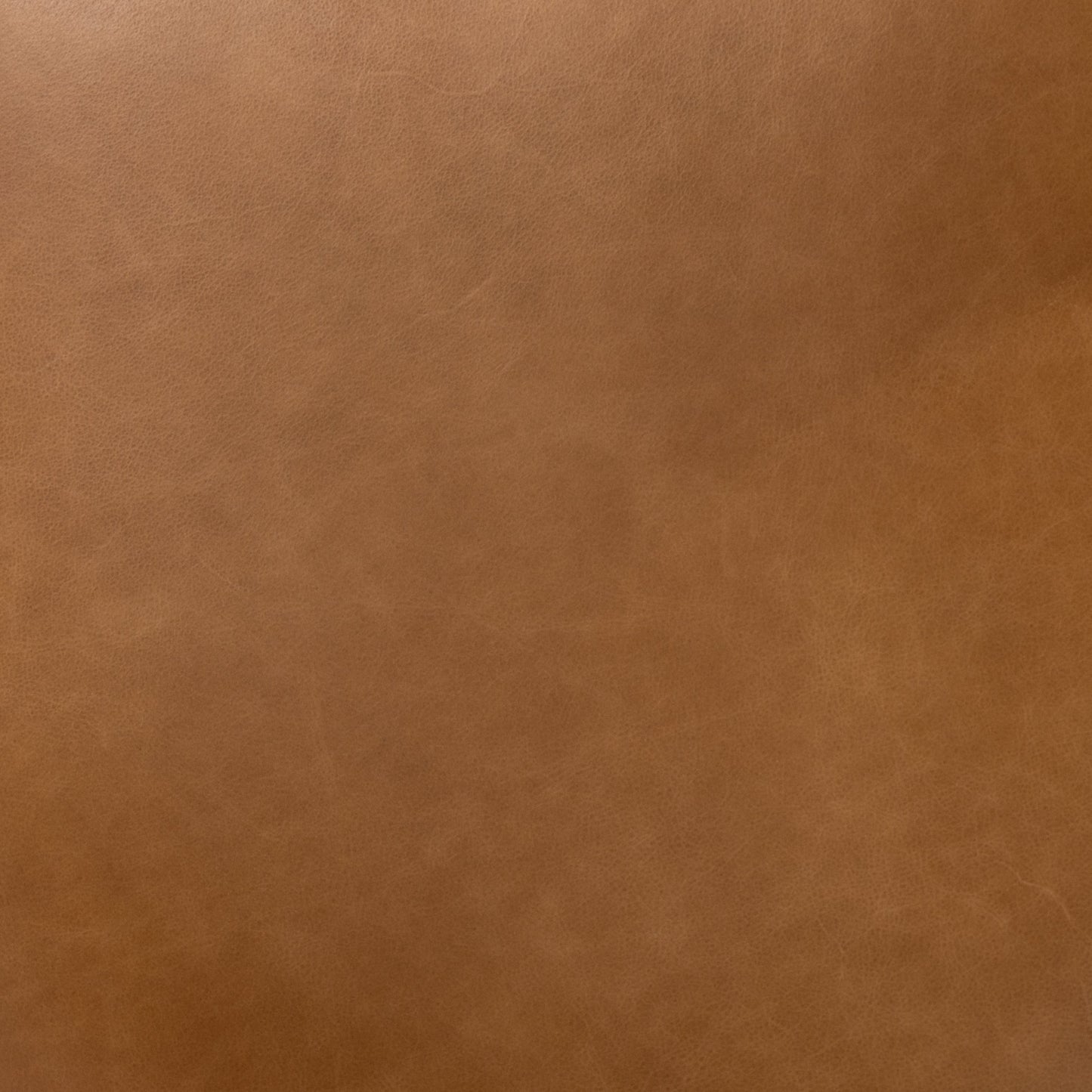 Hollis Counter Stool