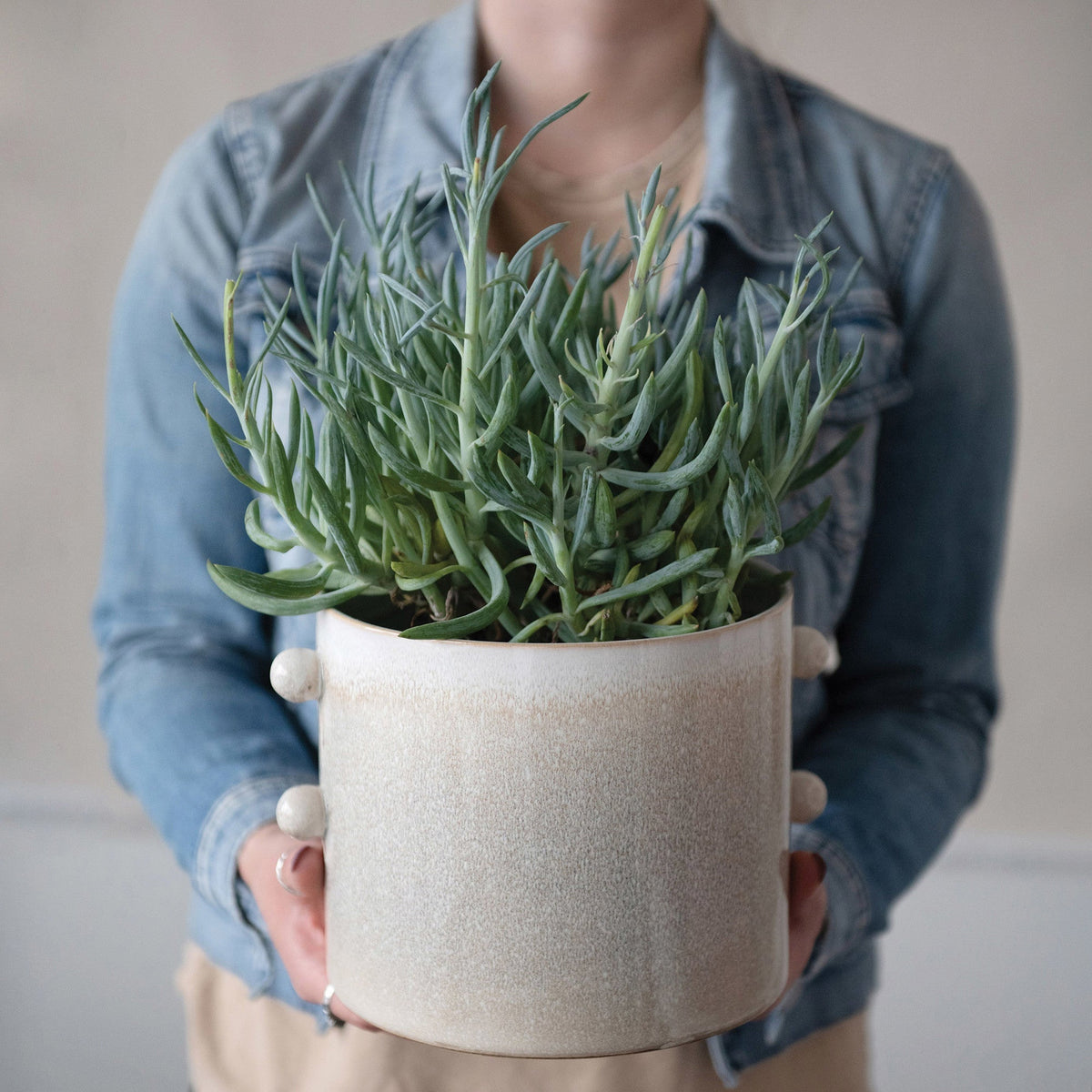 Planter with Glaze