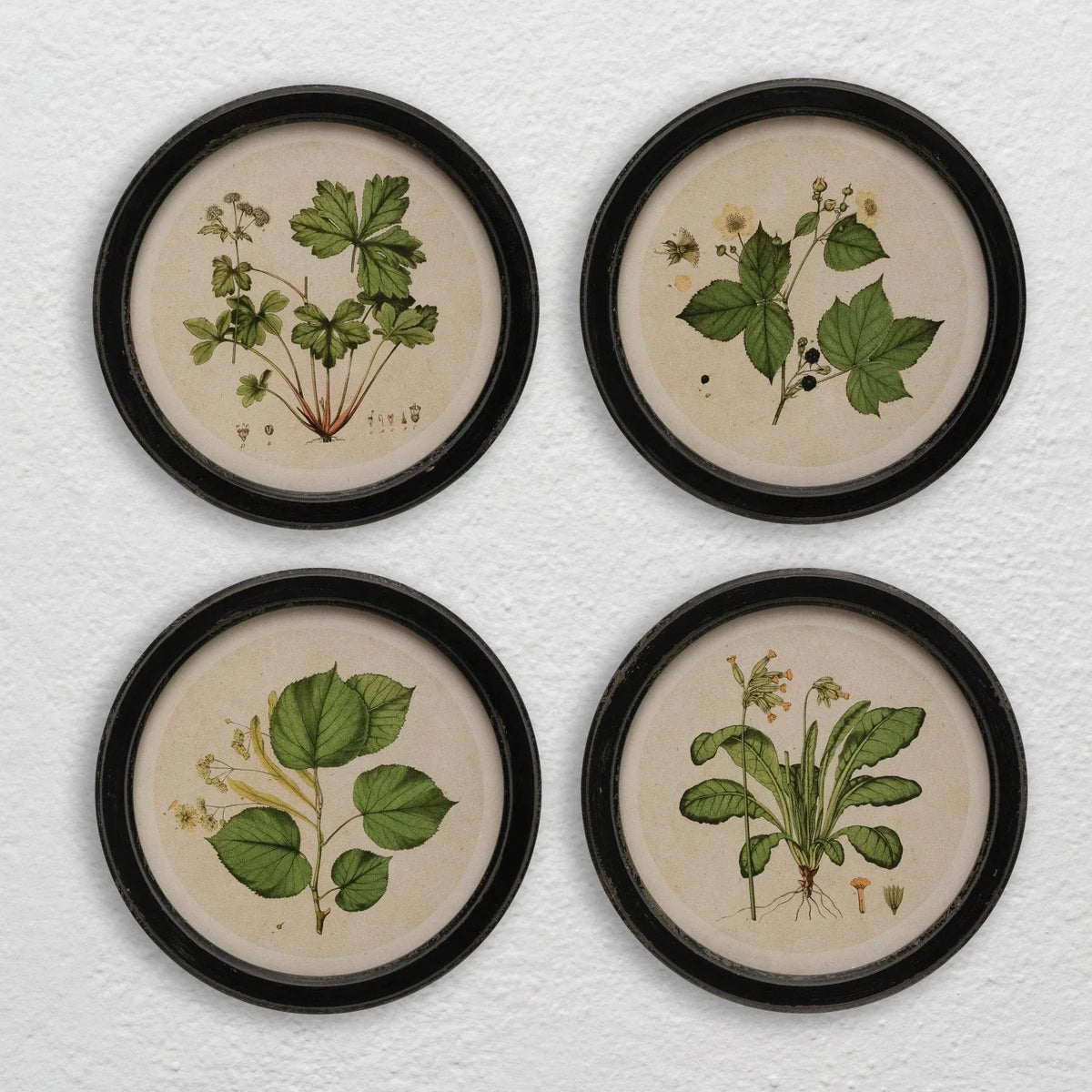13" Round Botanical Frames