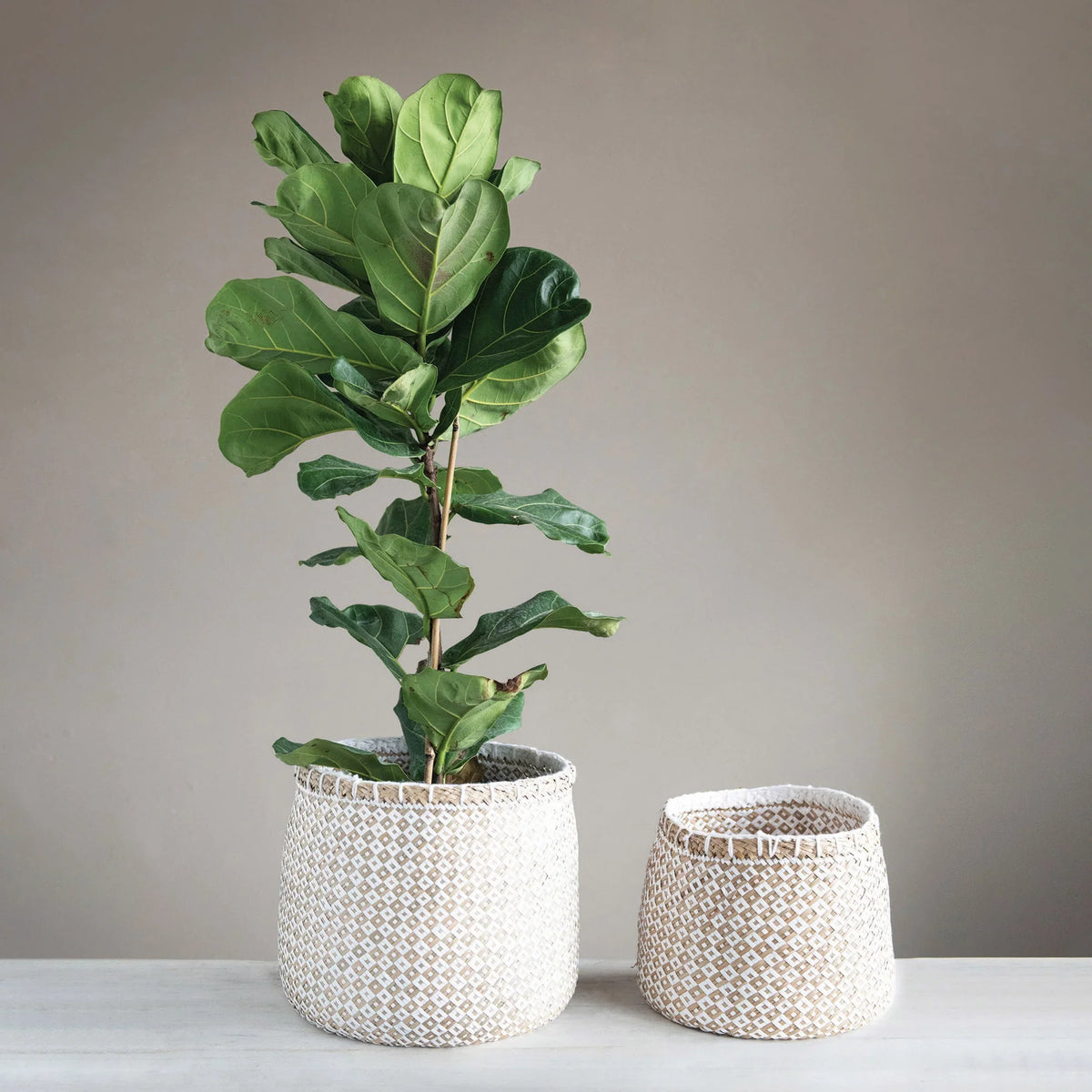 LG Patterned Basket
