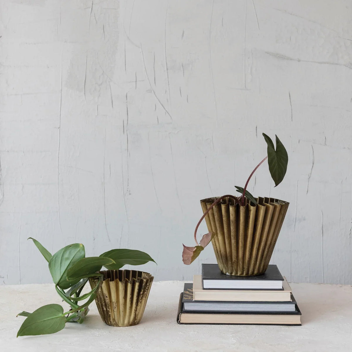 6" Fluted Brass Planter