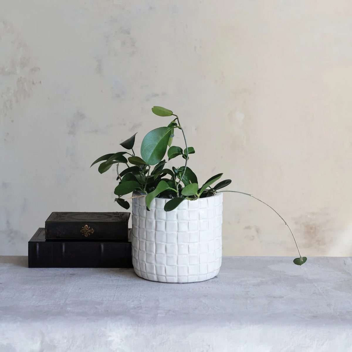 Round Planter with Woven Pattern