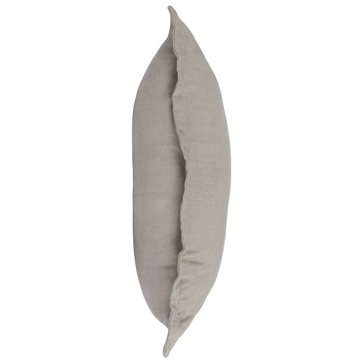 Sols 22x22 Pillow, Natural