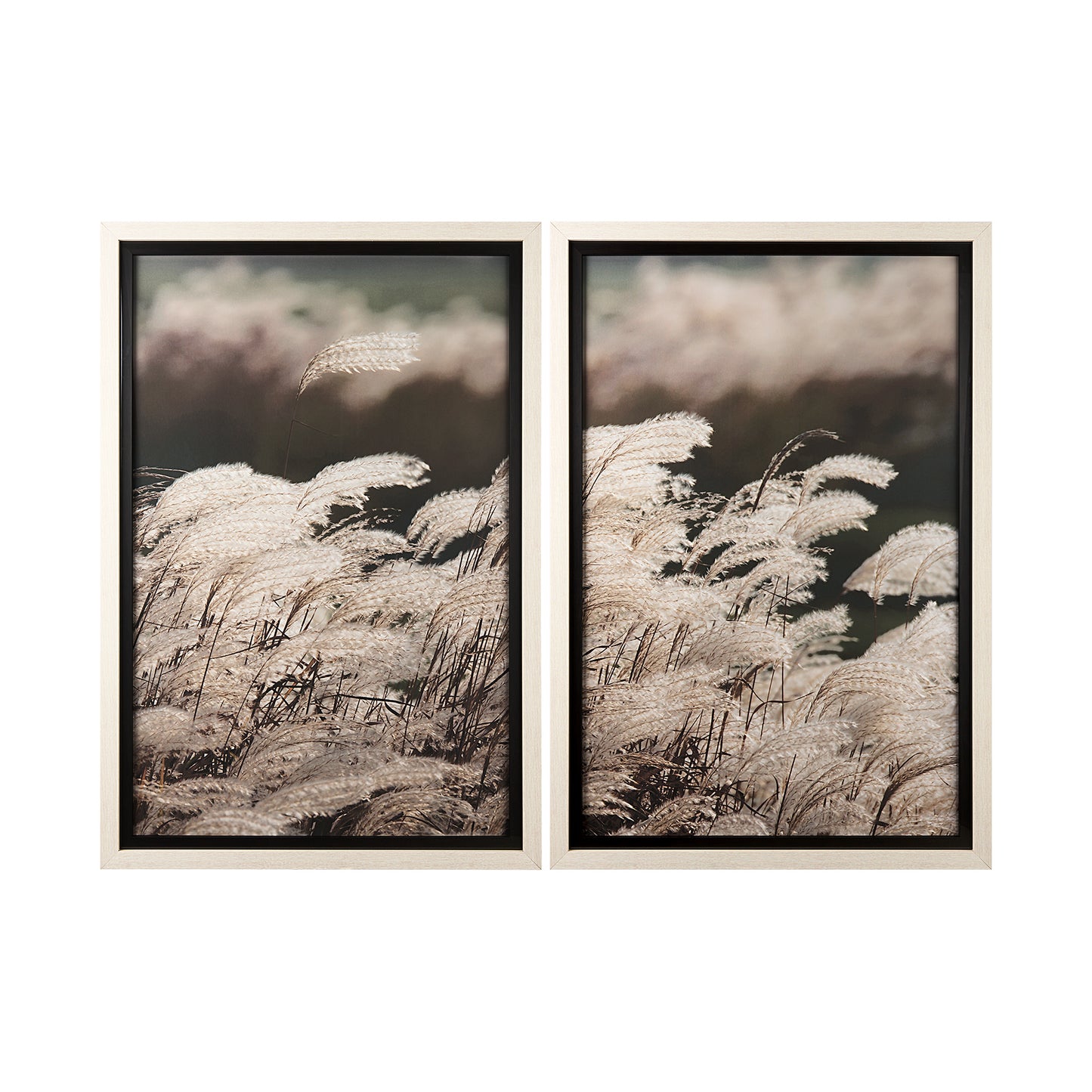 Nature Art Set