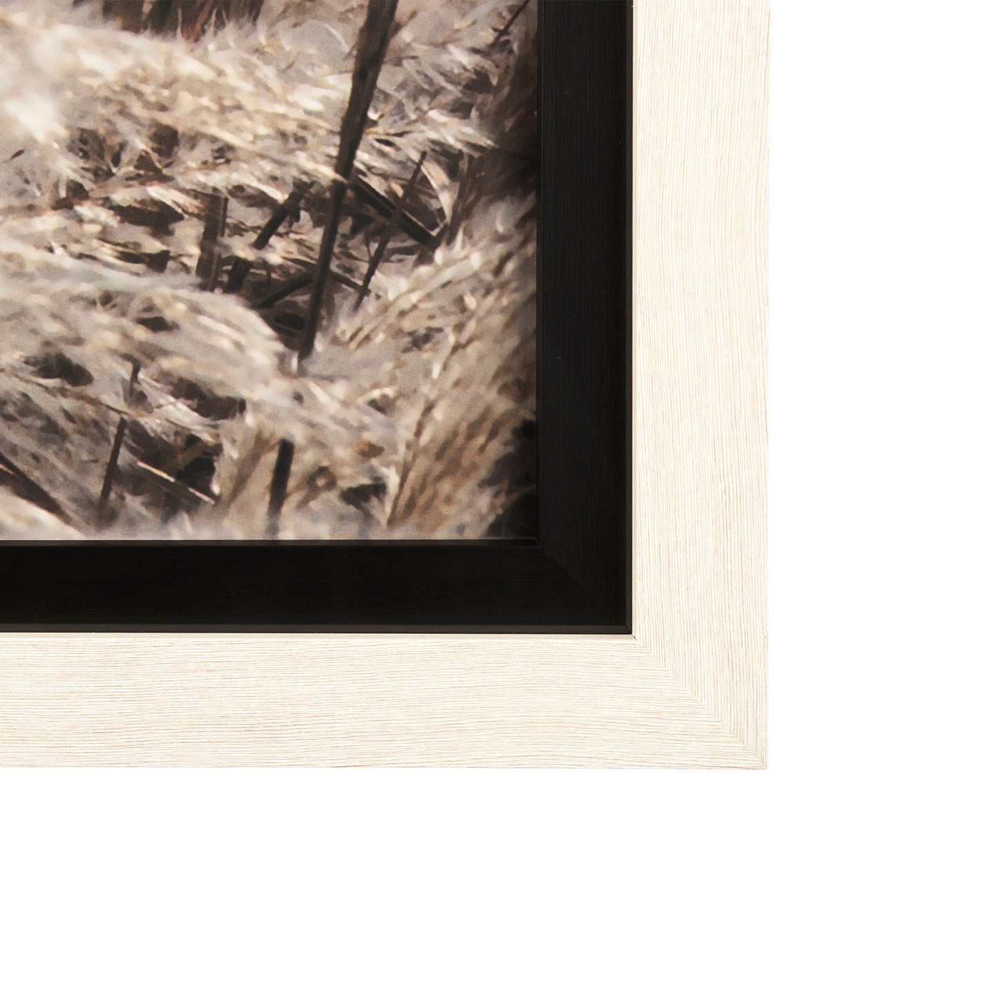 Nature Art Set