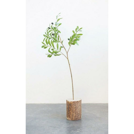 Olive Branch