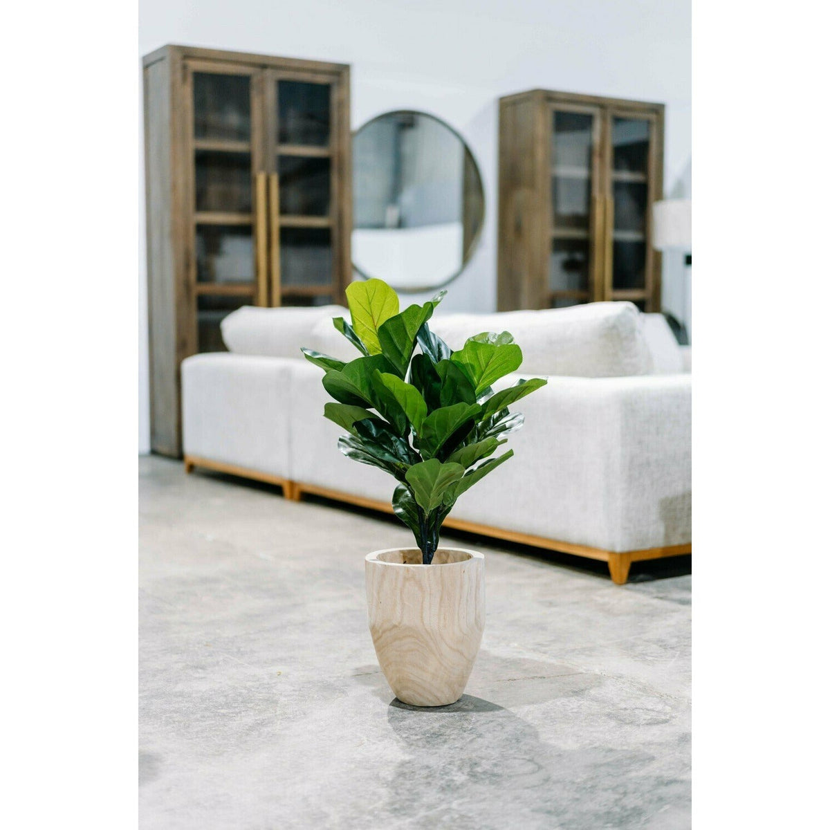 29.5" Fiddle Leaf Fig