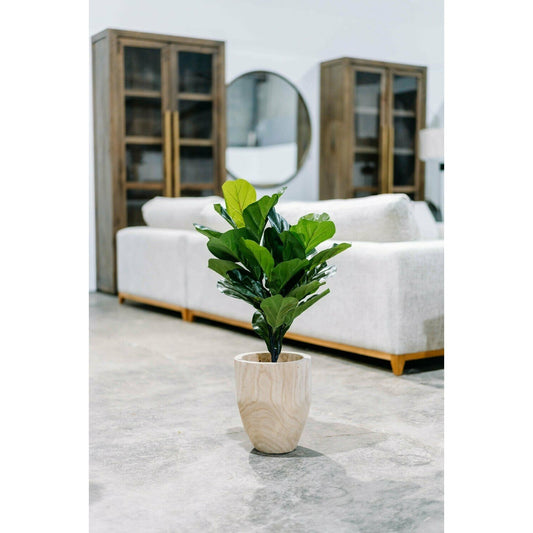 29.5" Fiddle Leaf Fig
