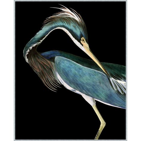 Heron 2 Art