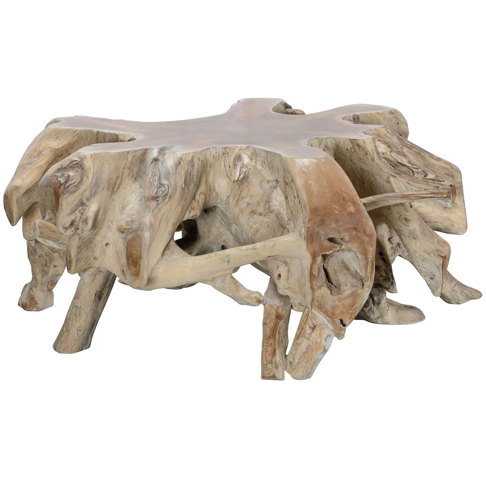 Teak Root Coffee Table