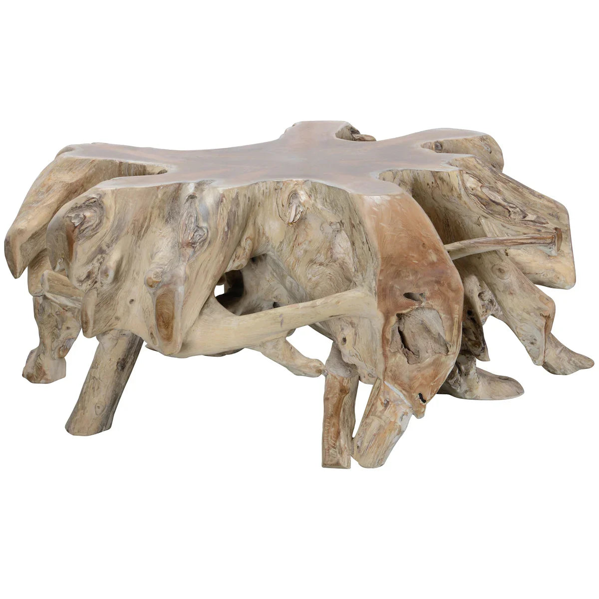 Teak Root Coffee Table