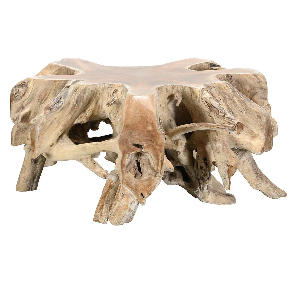 Cyp Root Coffee Table