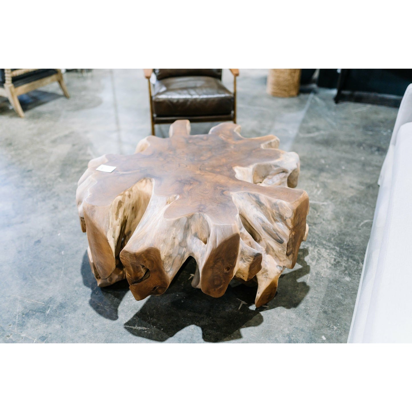 Cyp Root Coffee Table