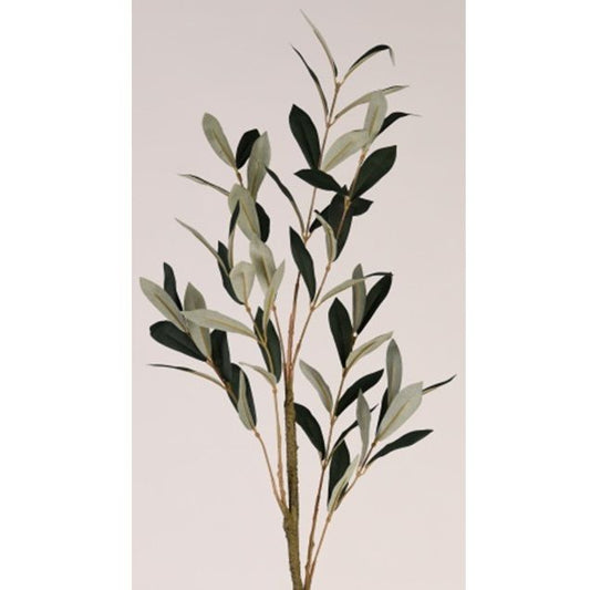 Olive Stem