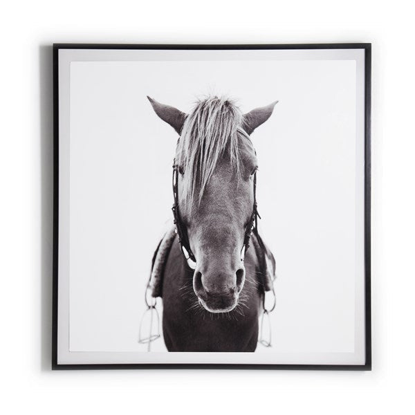 Horse Art, 40x40