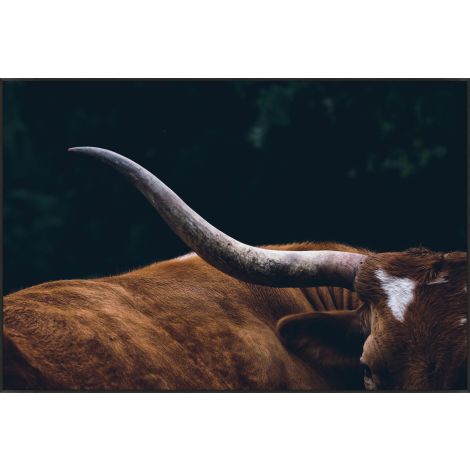 Horns Up Art, 73x49