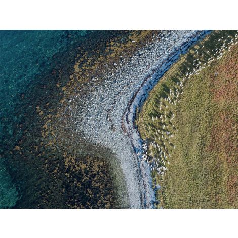 Aerial Shoreline 2 Art