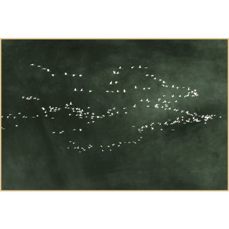Flight of Passage 1 (Green)