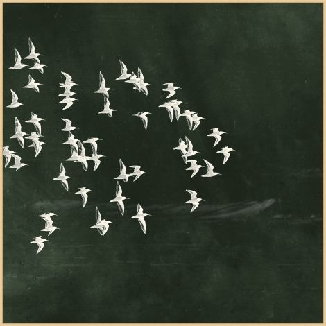 Flight of Passage (Green)