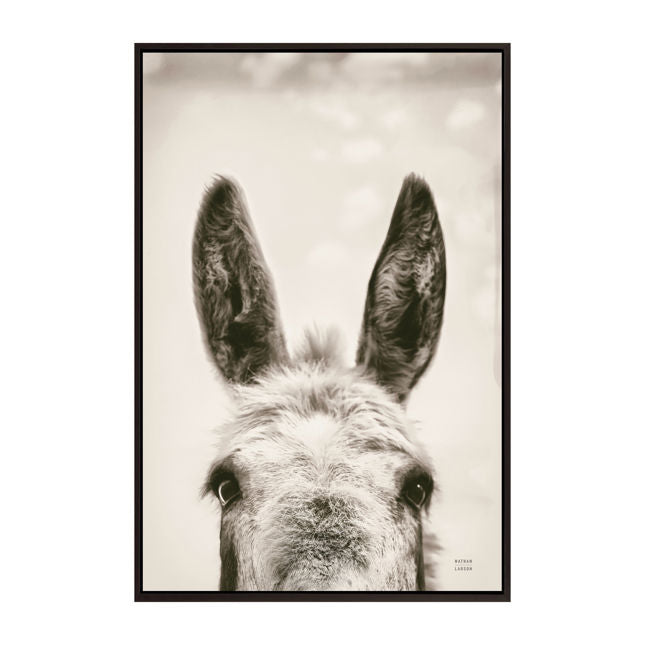 Downward Facing Donkey Sepia