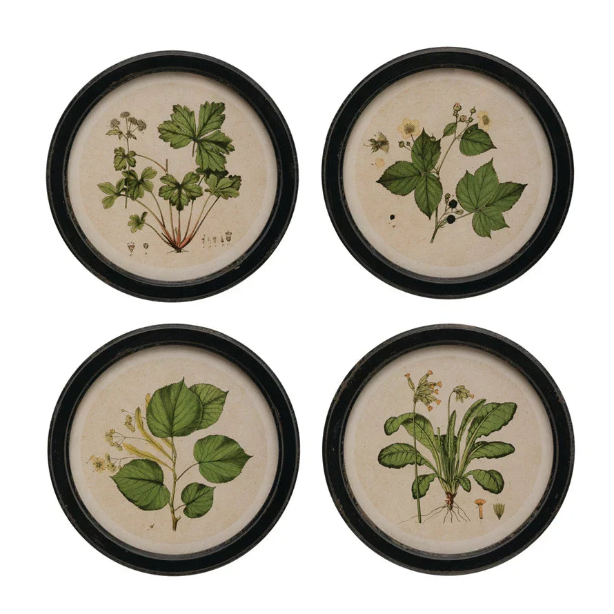 13" Round Botanical Frames