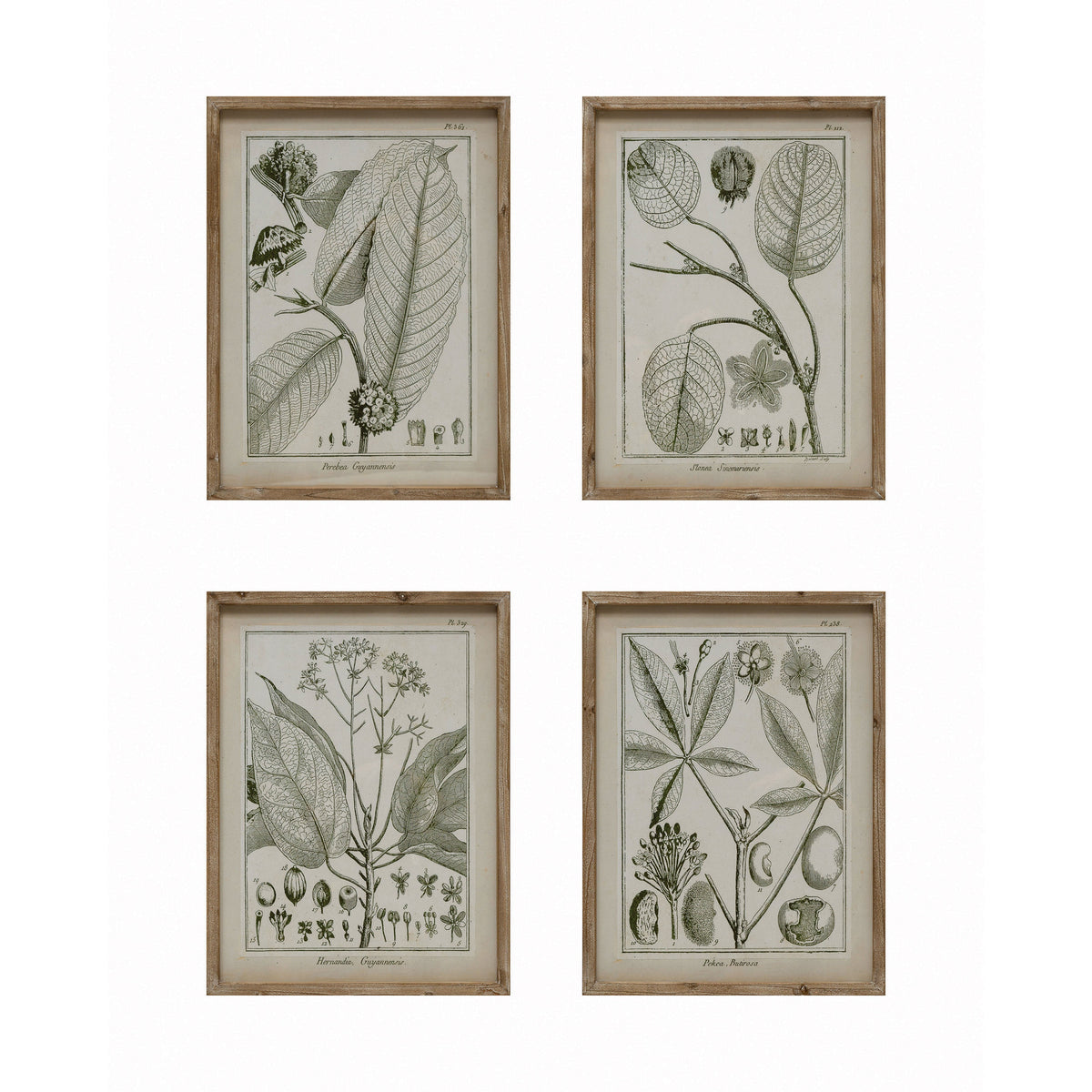 Wall Decor with Plant