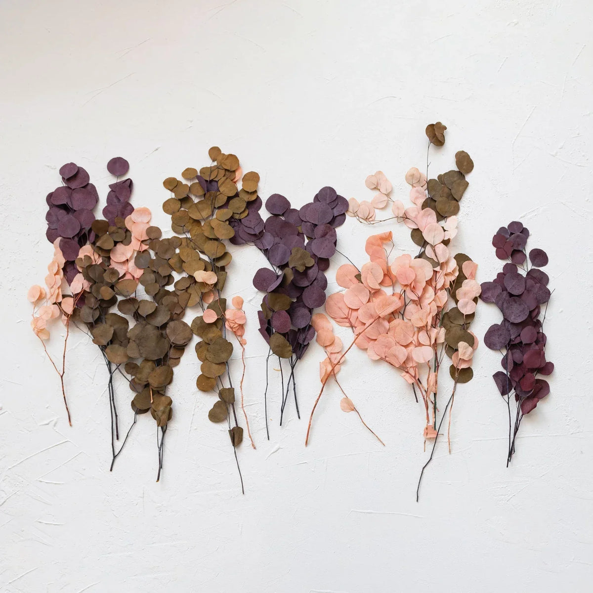 Dried Eucalyptus Bunch