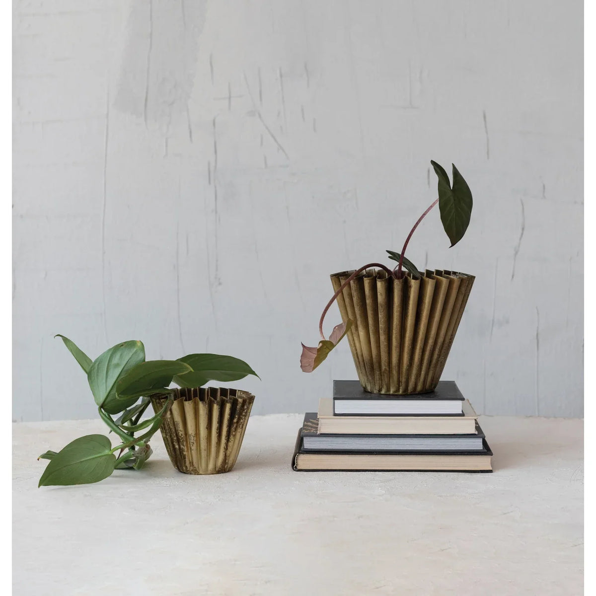 8" Fluted Brass Planter