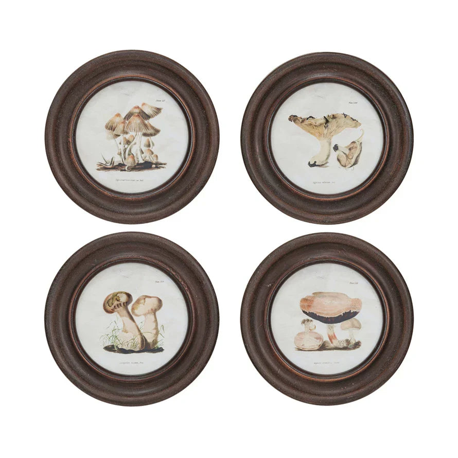 Framed Décor w/ Mushrooms, 4 Styles, Clearance