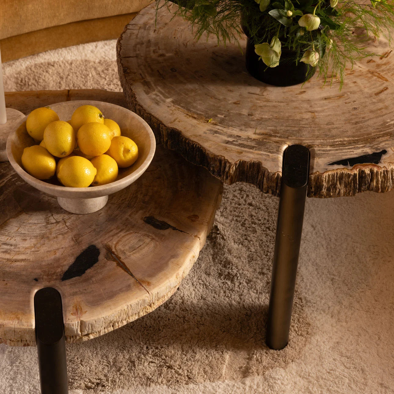 SM Sampson Coffee Table