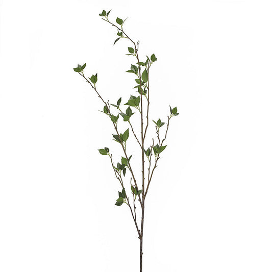 Cherry Branch
