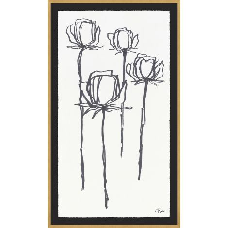 
                  
                    Stems
                  
                