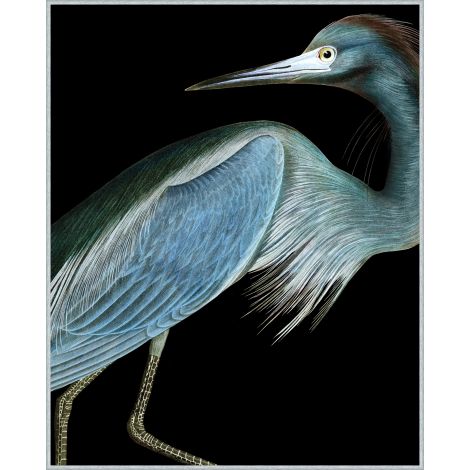 Heron 1 Art